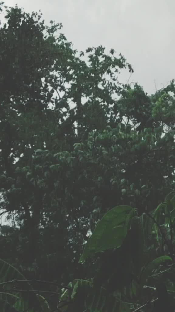 @hrithul vine