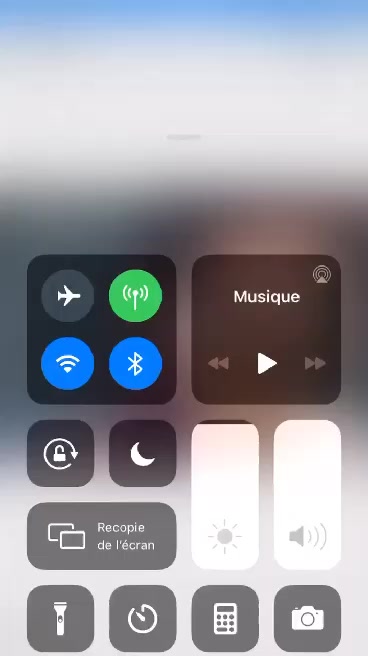 @celenagrossdu11