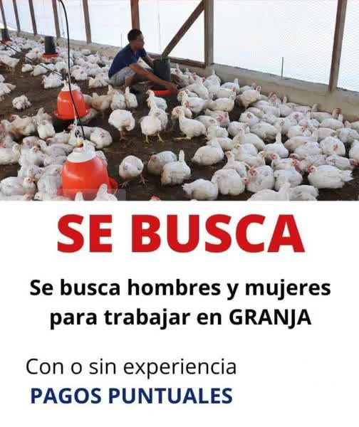 @Portal Trabajos Formales