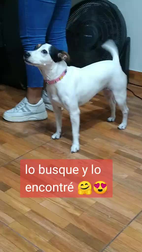 @TICTOKER OFICIAL YURI 🌴🌿🦜