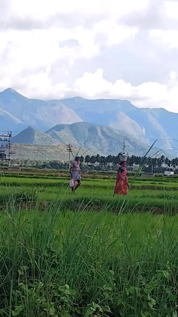 @தேனியின் நண்பன்