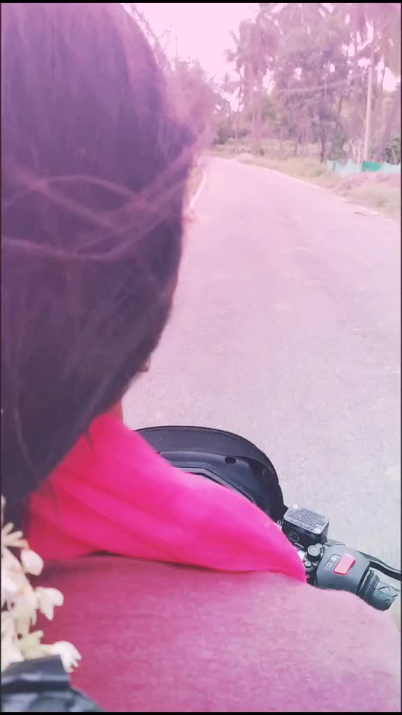 @Abhi Gaja 🐘