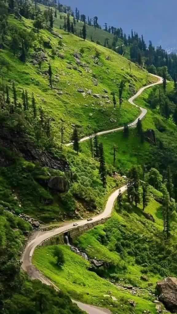 @user9105542090986