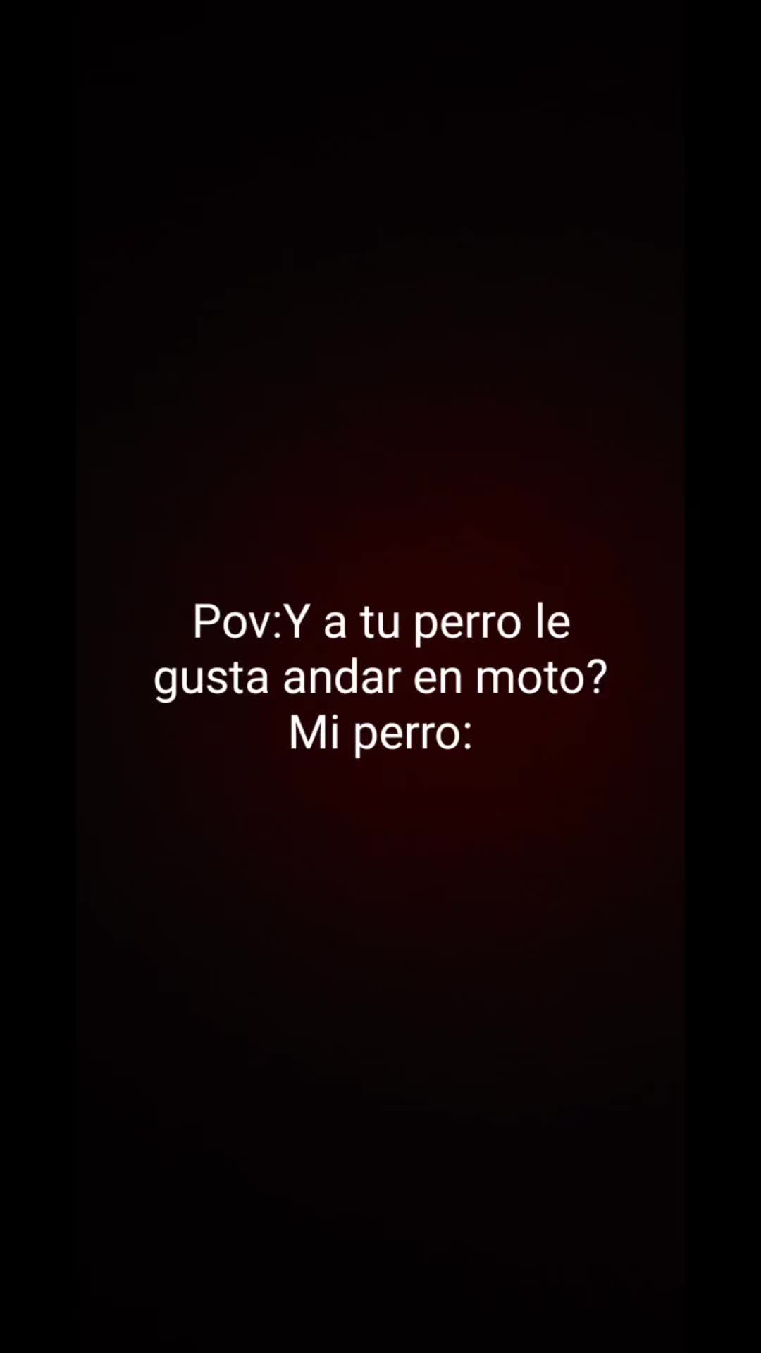 @burgosagustinamar
