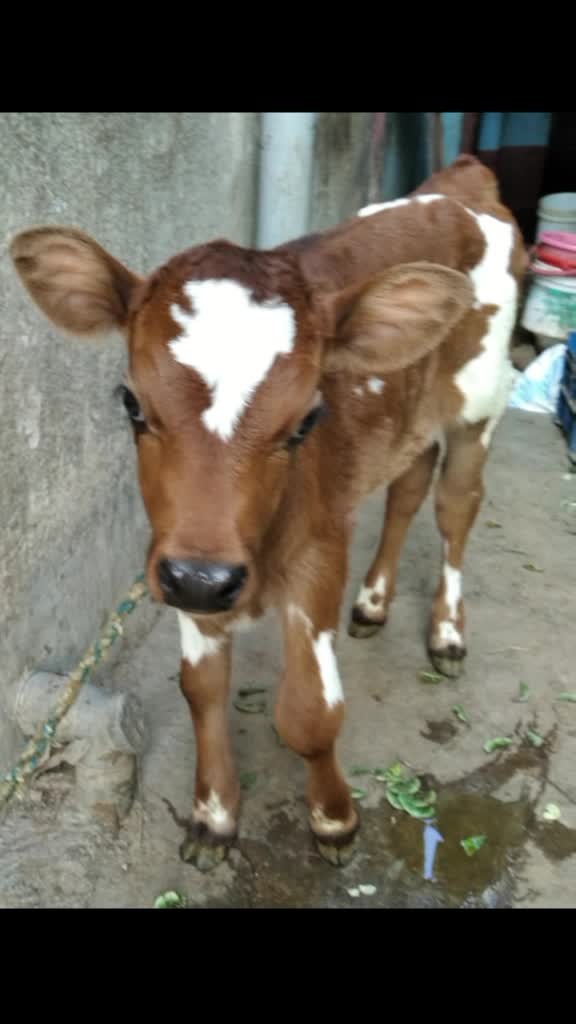 @@srinivas seenu