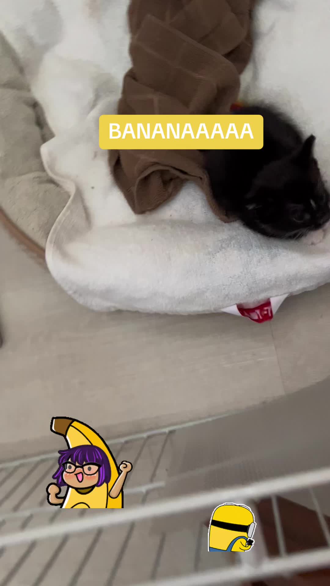@Ryugyu Cat