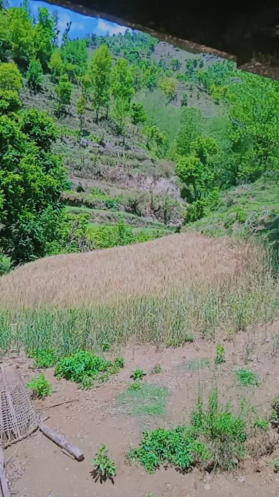 @Sapanadhirajchand2
