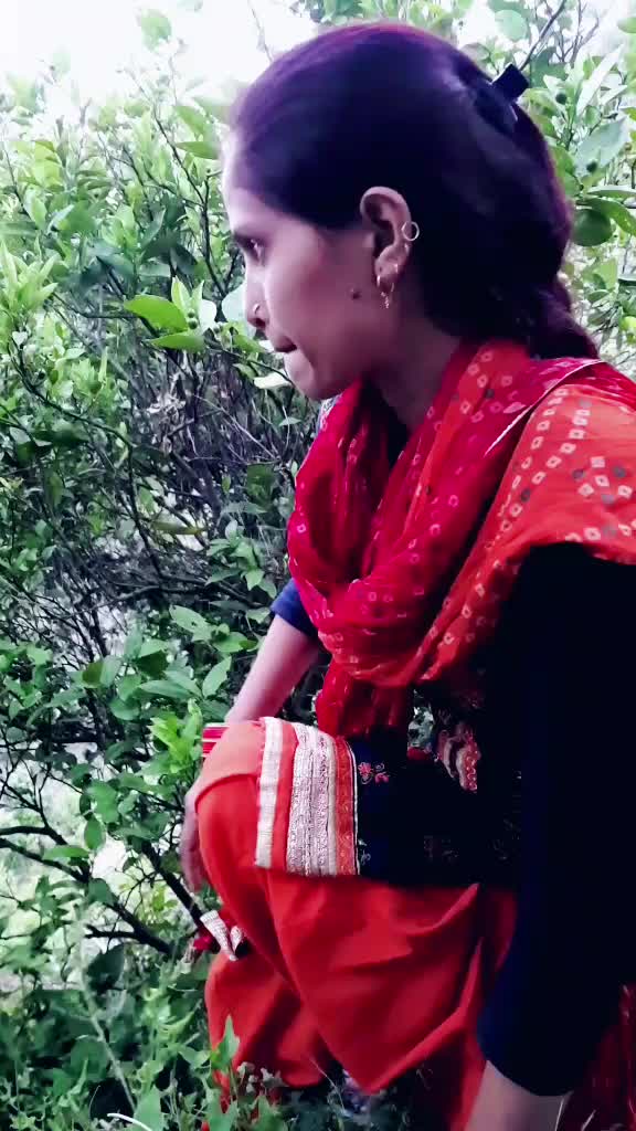 @Laxmi Chauhan