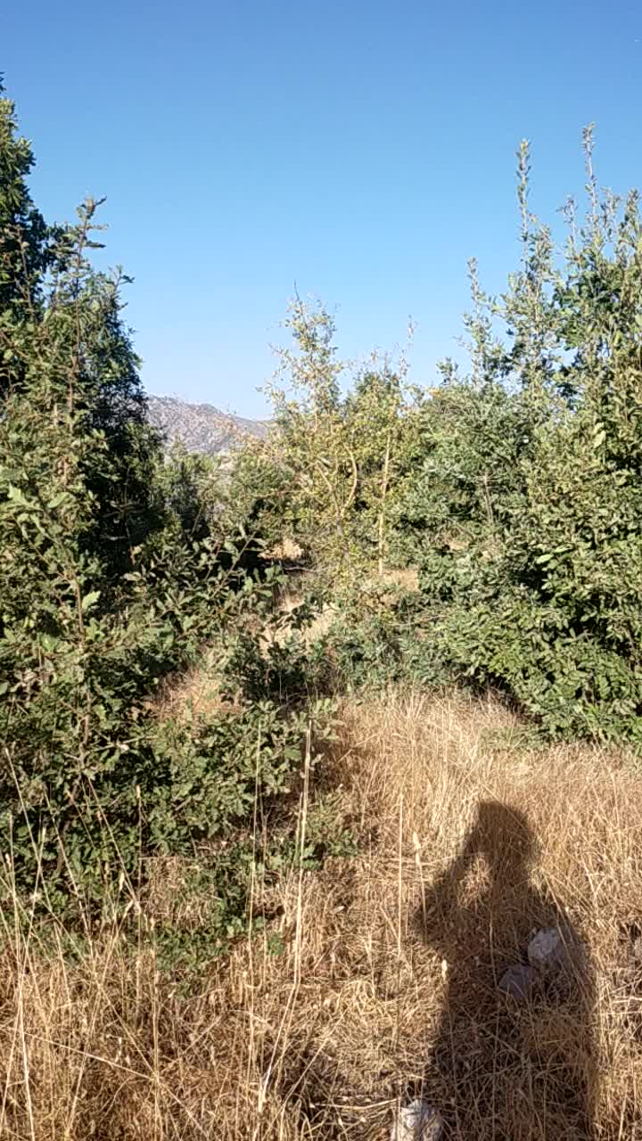 @ÜMİT