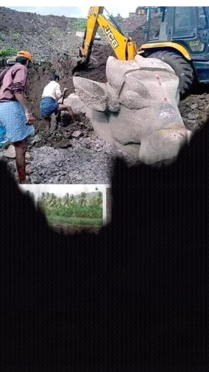 @mahi