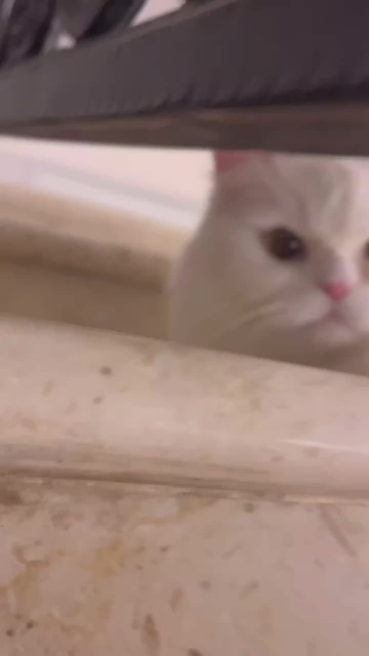 @user39556571203
