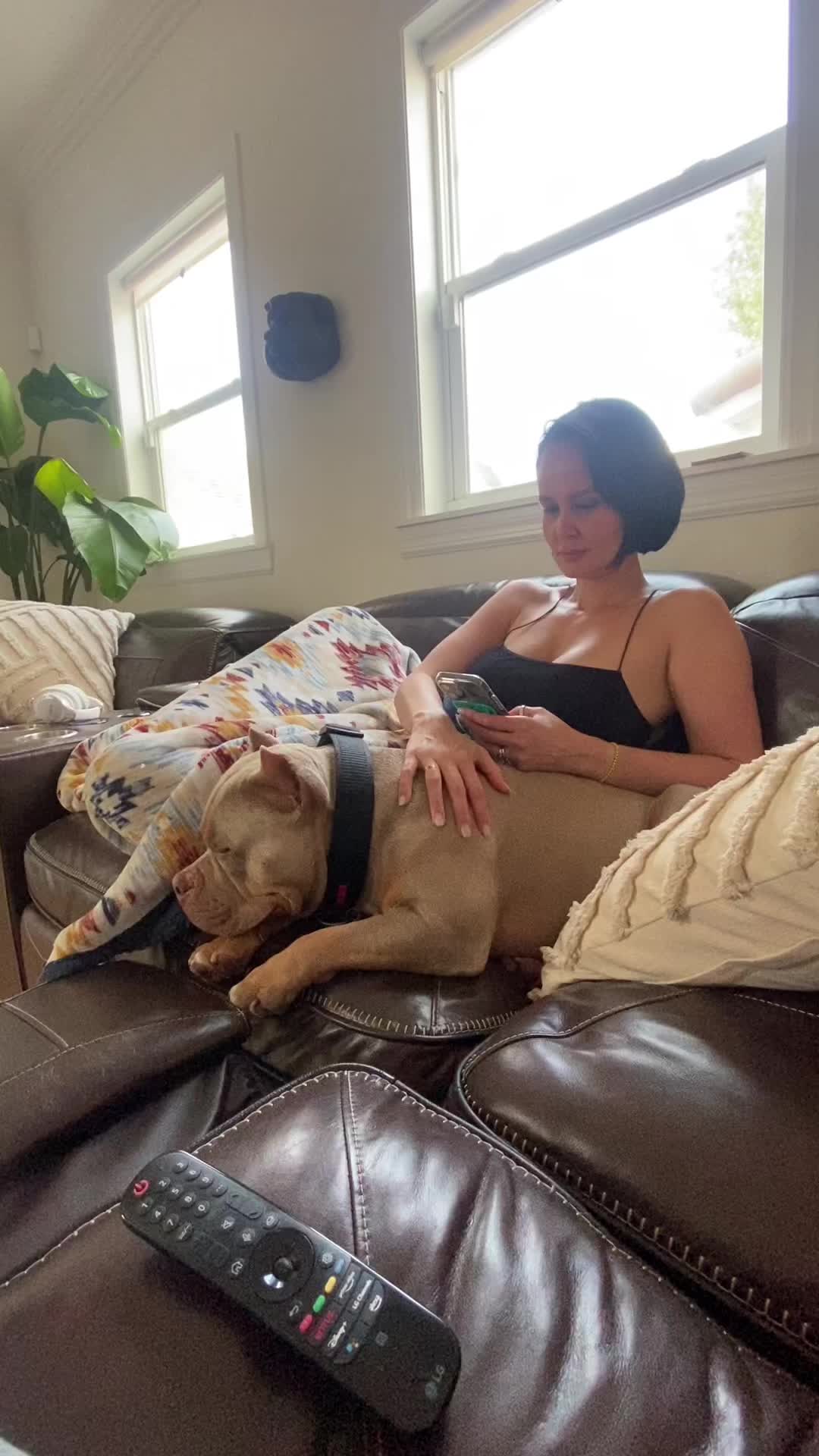 @chinomendezbully