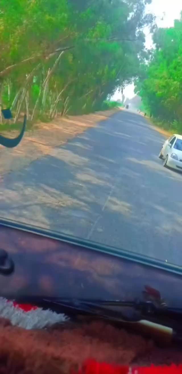 @TLF🔥 986🔥