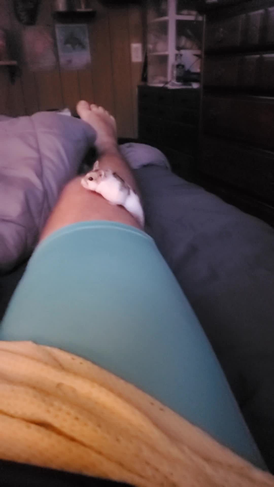 @CamCam