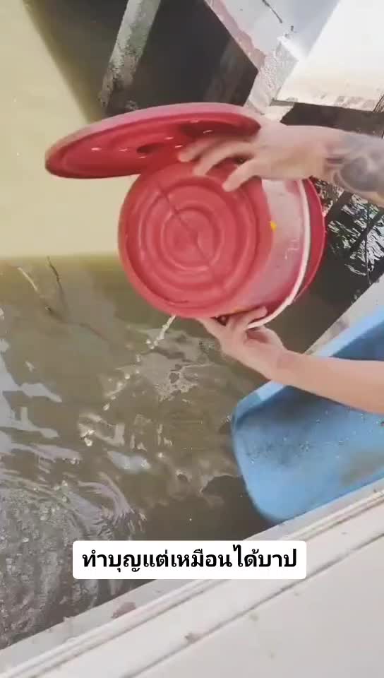 @COOKIEJUNP