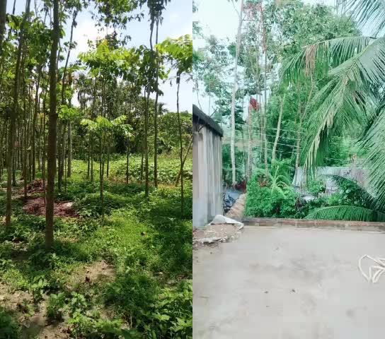 @Raja Molla