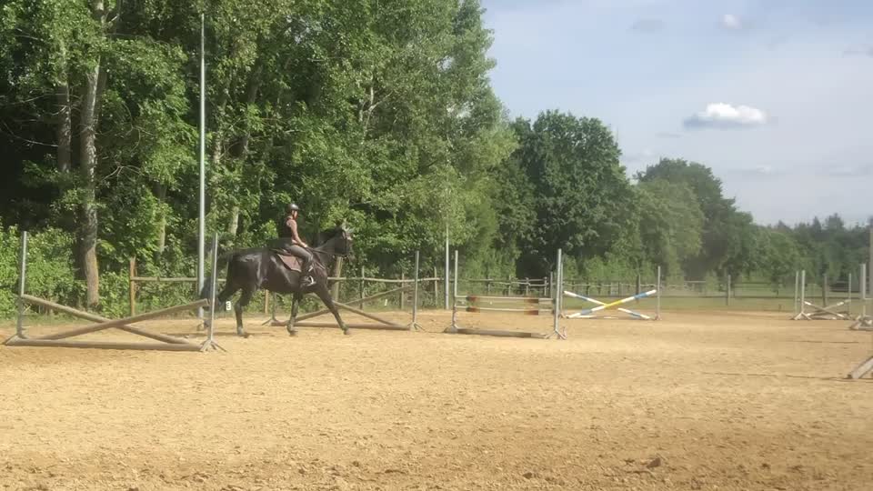 @My.soulhorse❤️🥺✌🏻