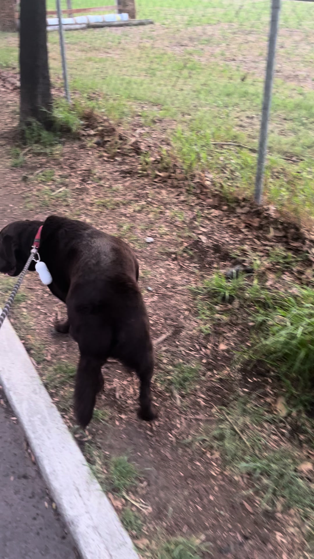 @Annalampo