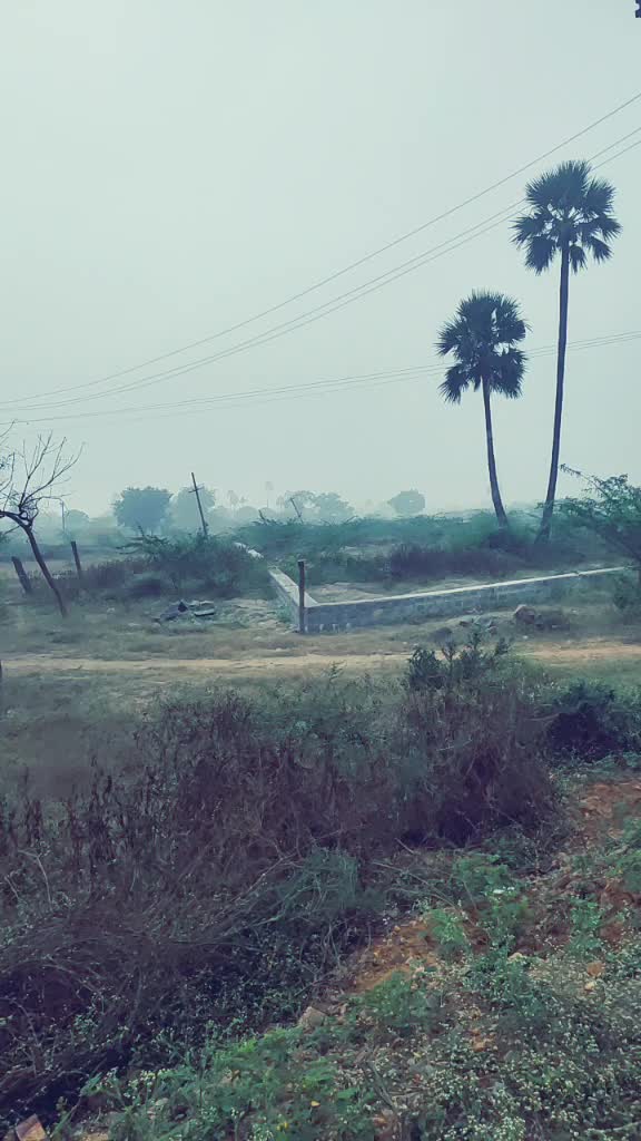 @Prawin Narala