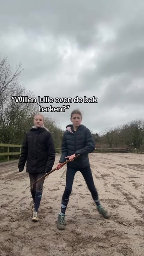 @De Hilversumse ponyclub