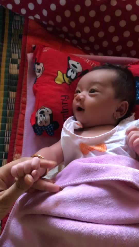 @๐ฒ์ ํ๐ฒแแผแแแ