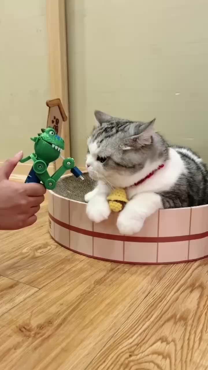 @Pets Kingdom Online