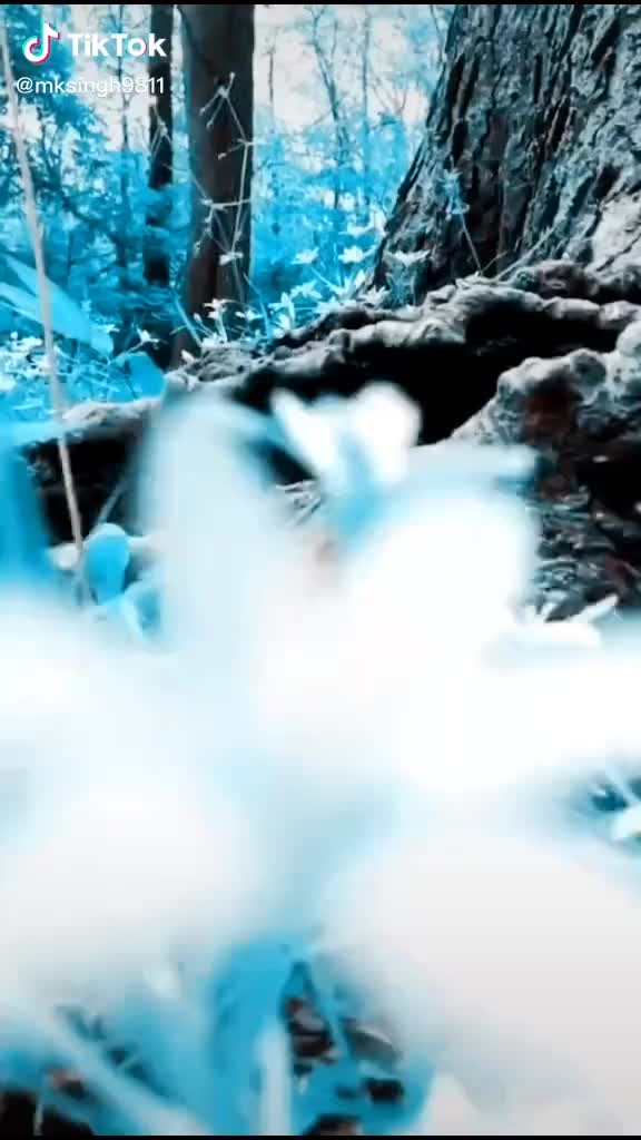 @AYAN,KAHAN,GAGWANA.