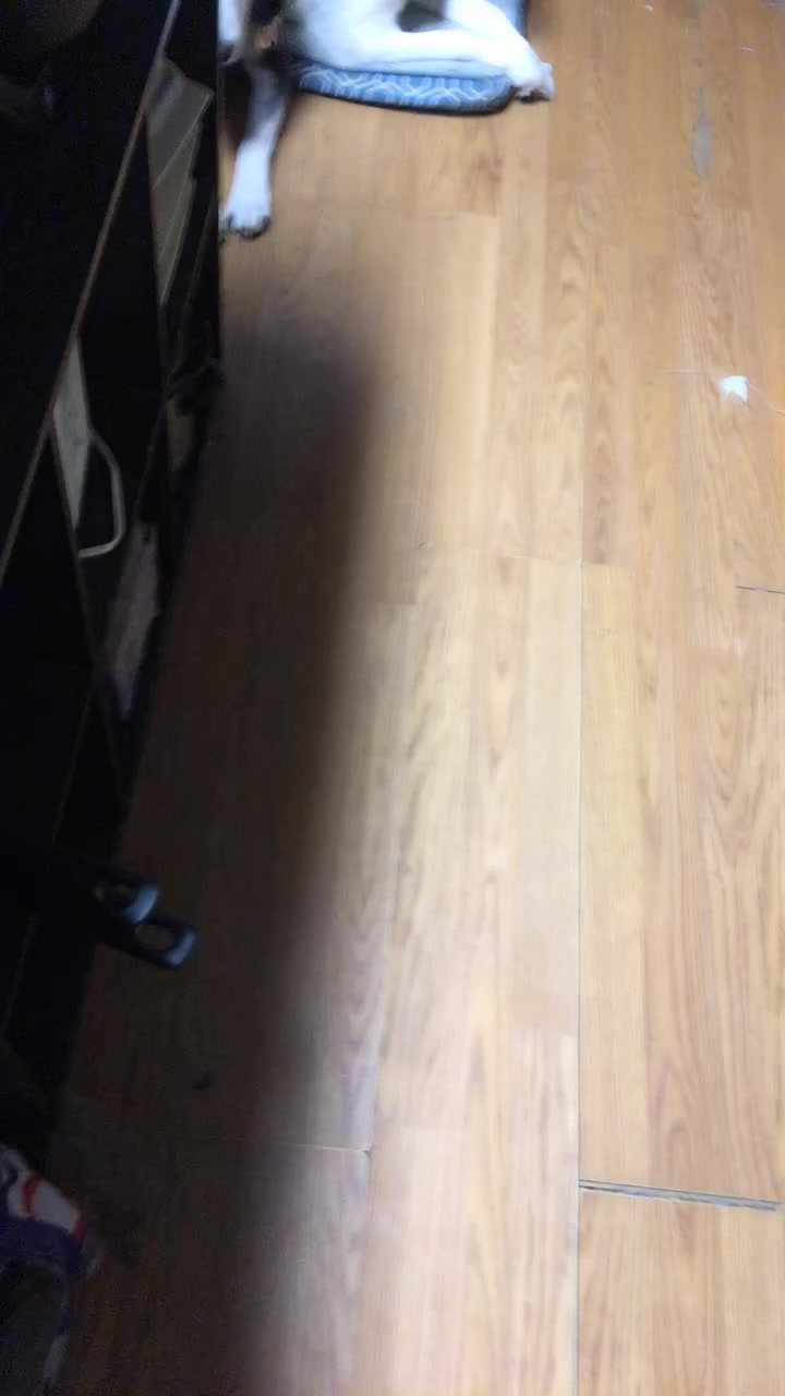 @codysCronicles