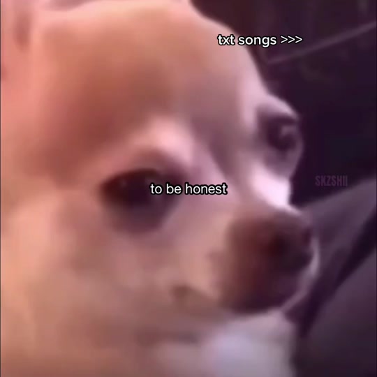 @frostyhanbin