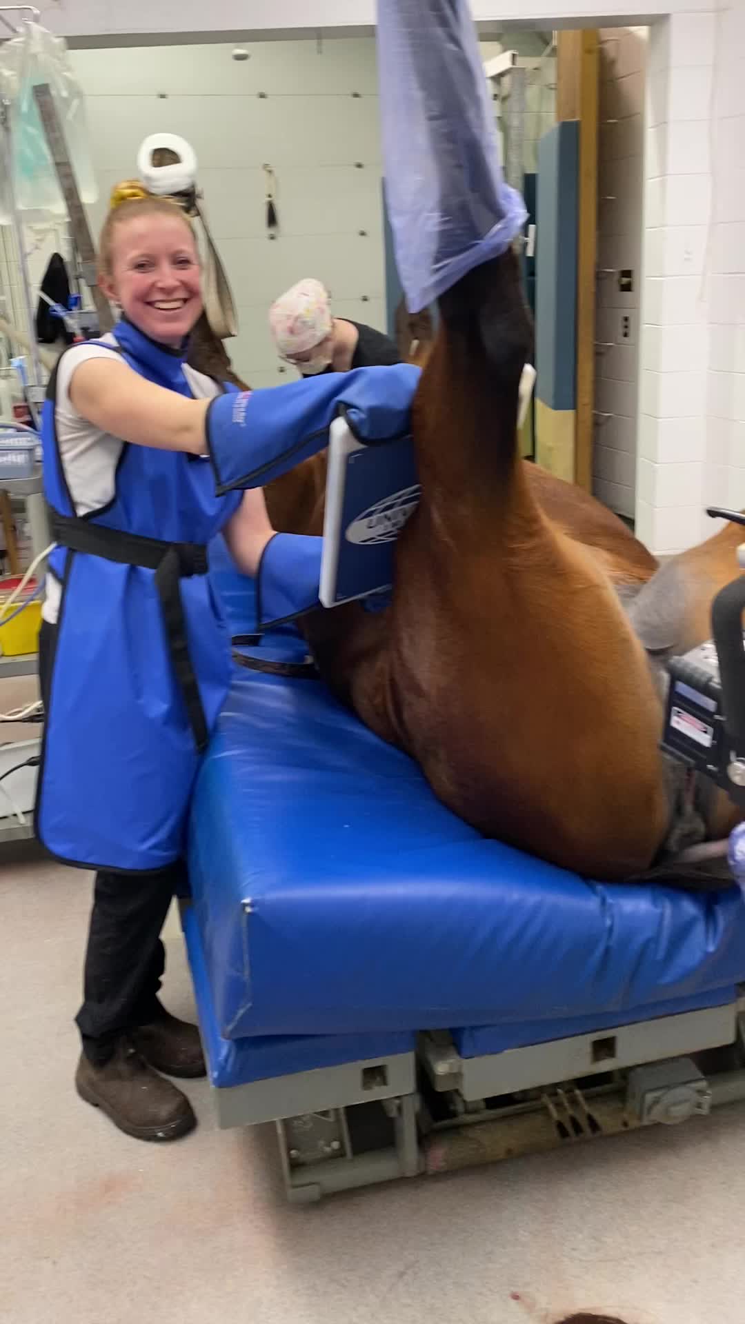@EquineSurgeryOntario