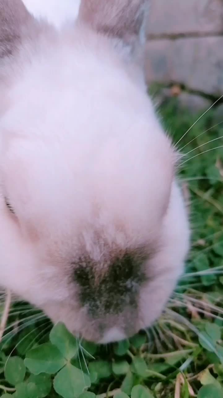 @✌︎