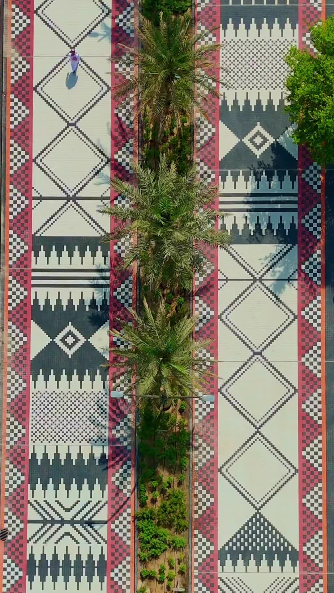 @سليمان الظفيري 🎥 🎞️
