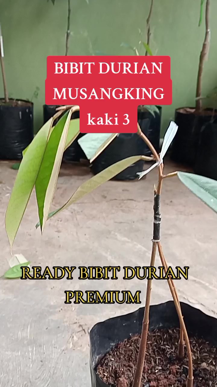 @PEJUANG keluarga ❤️