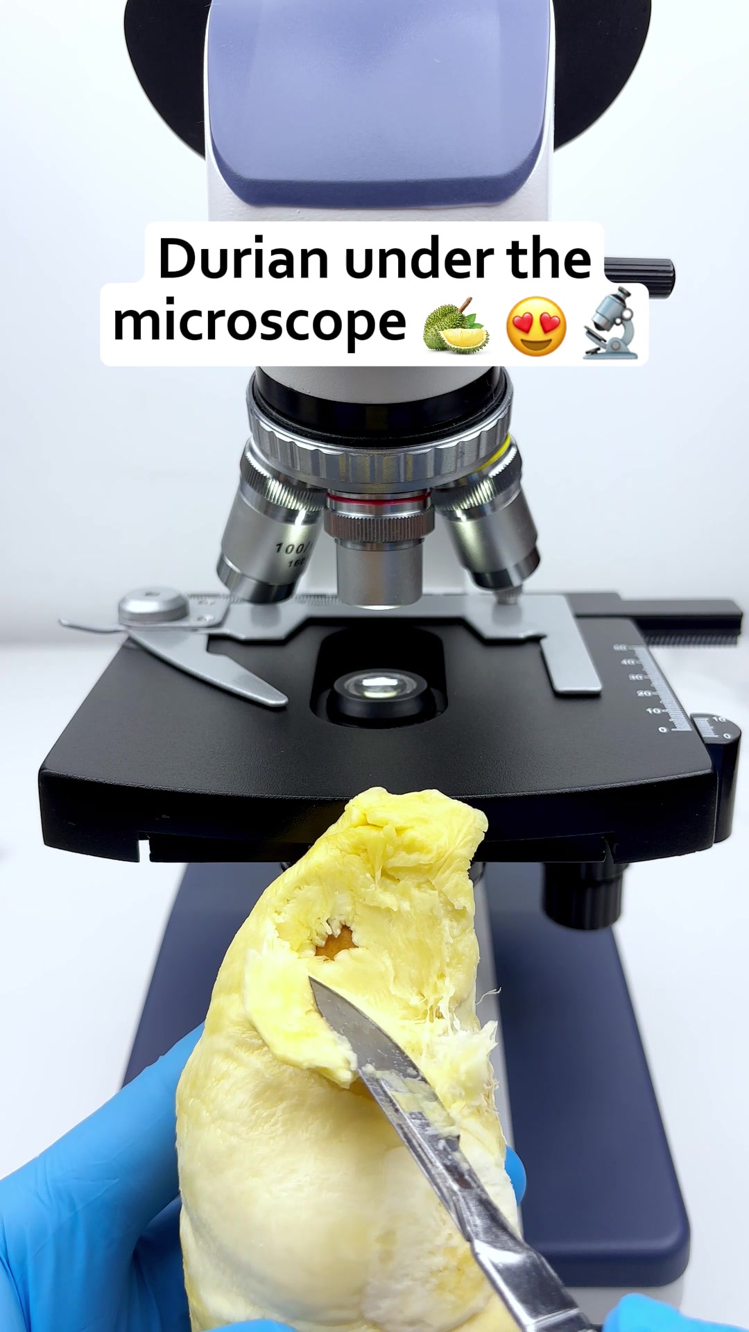 @MicroMagic6