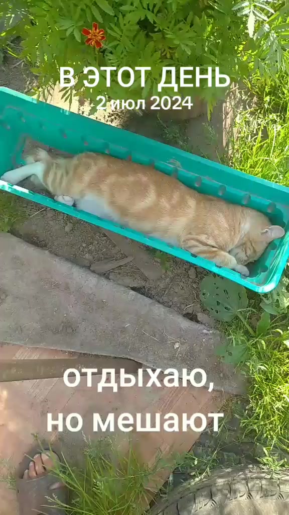 @Юрик