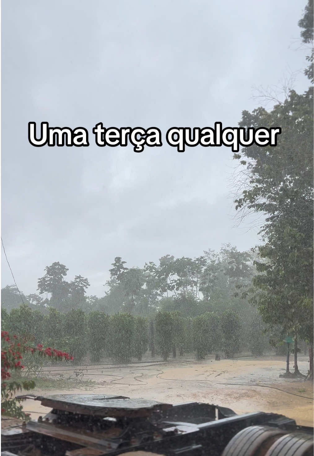 @Nanny Carvalho