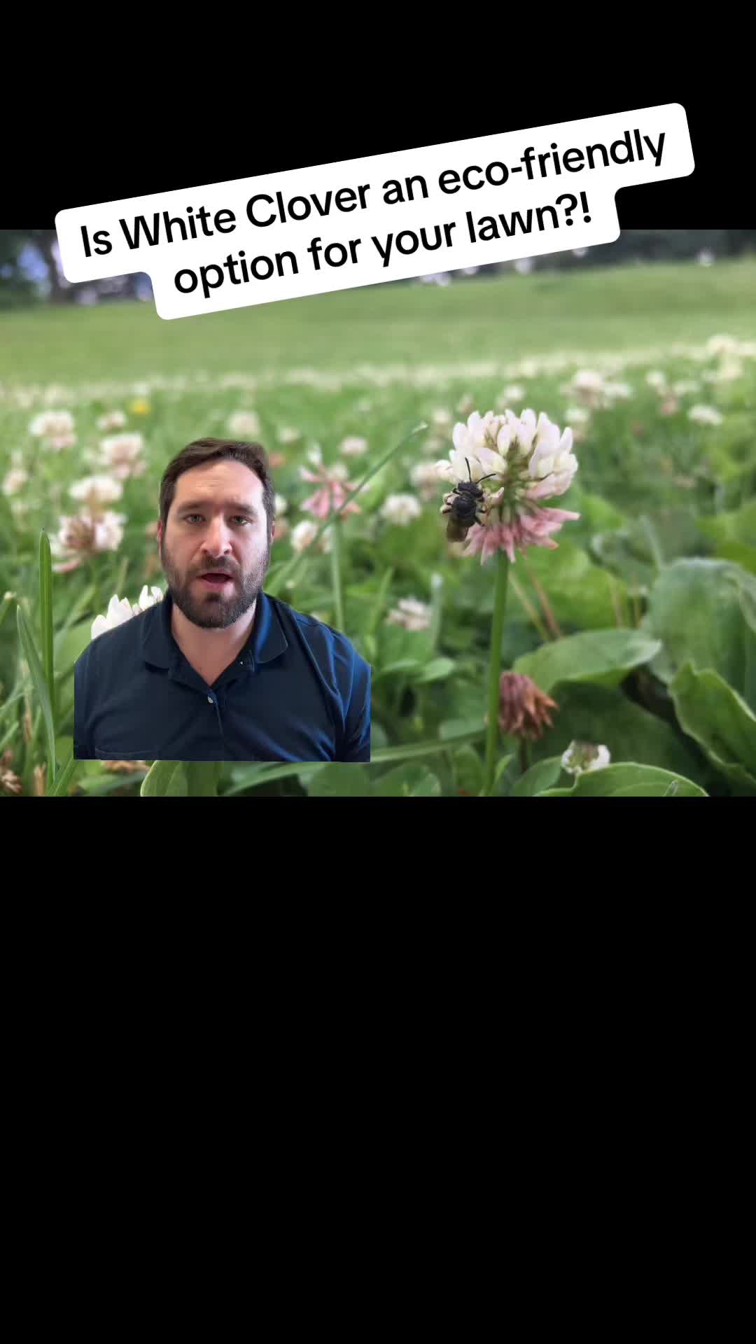 @Twincityseed