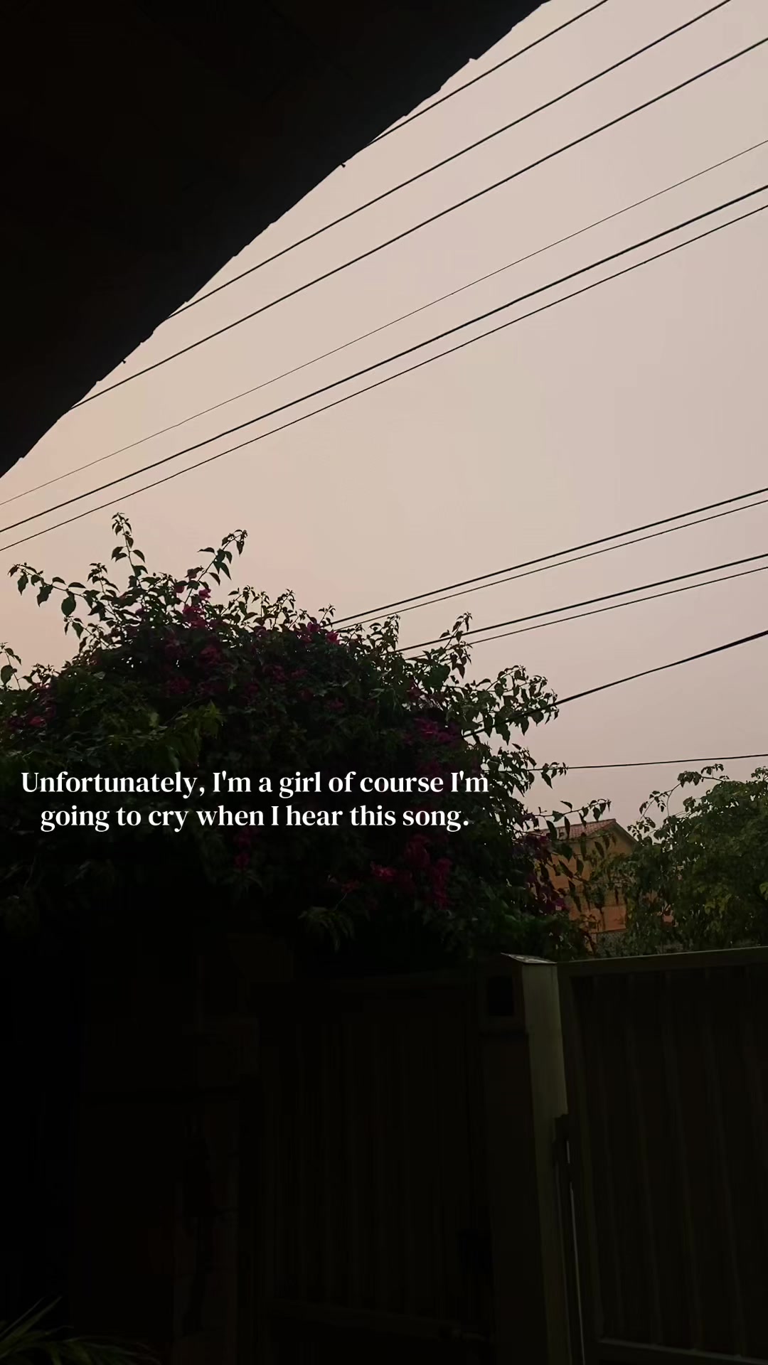 @Nooray🌙