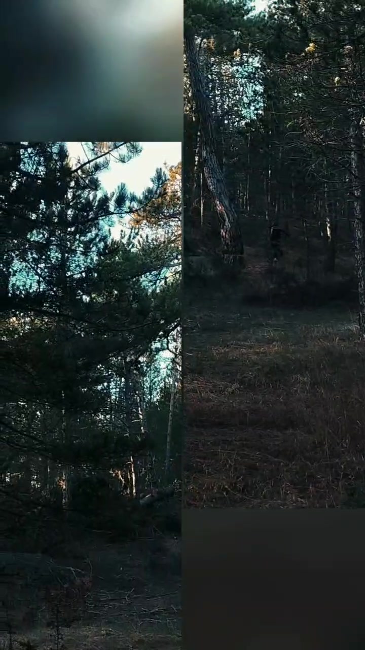 @ERKAN AKGÜN