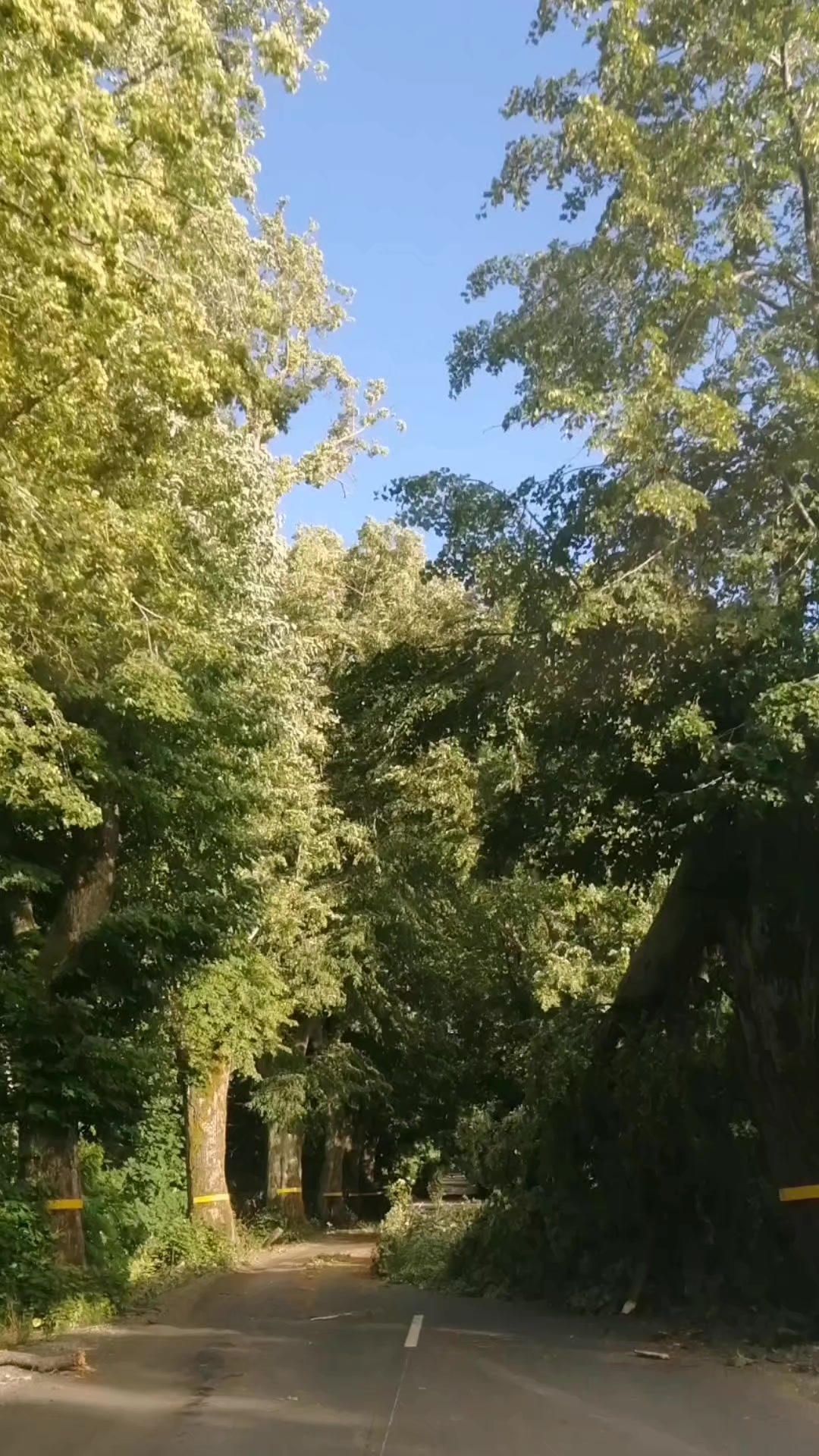 @Татьяна