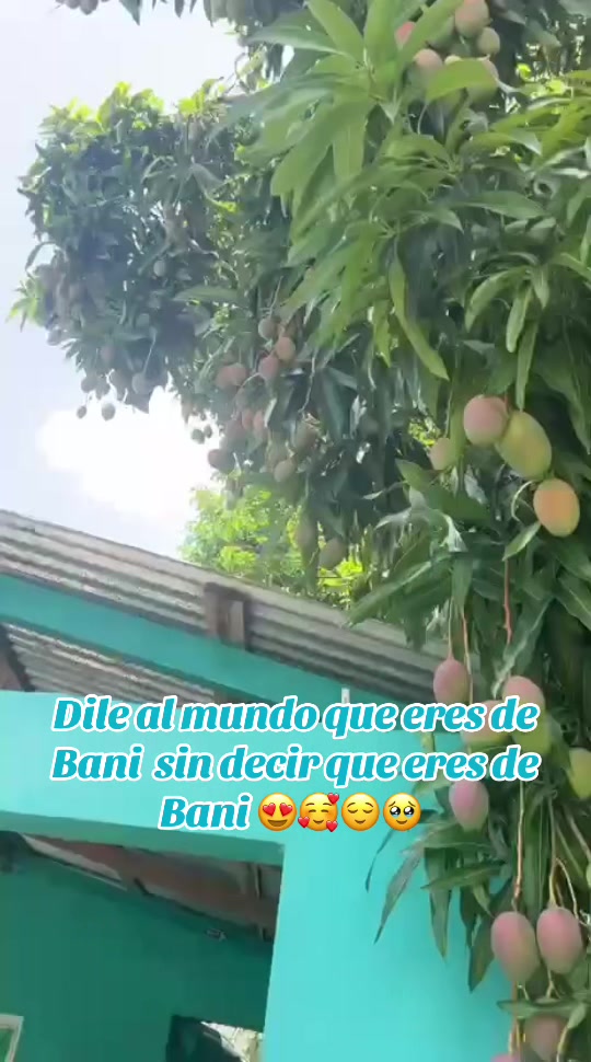 @_lamera_mera