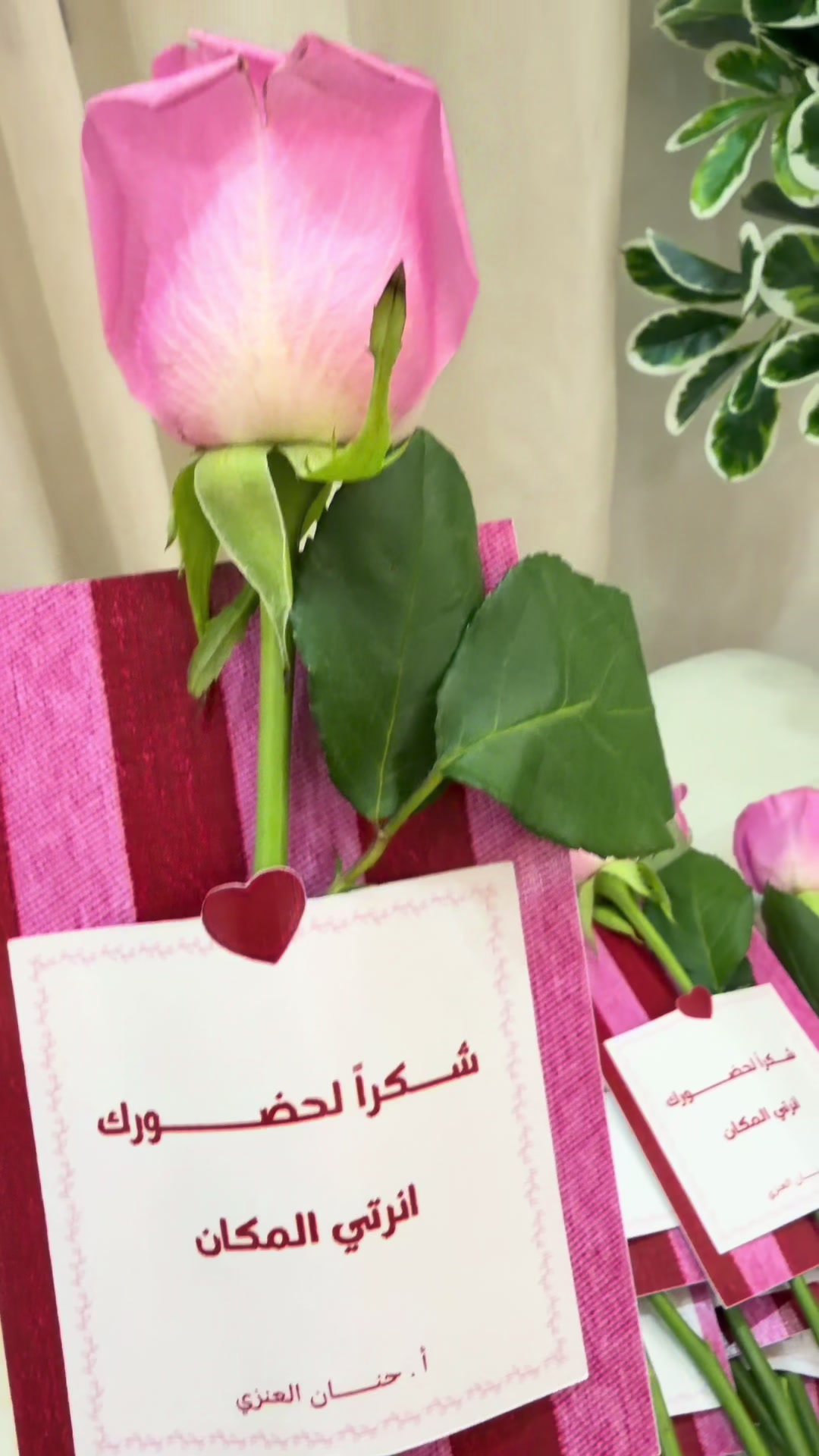 @لـقـطـة ヽ(♡‿♡)ノ🇸🇦