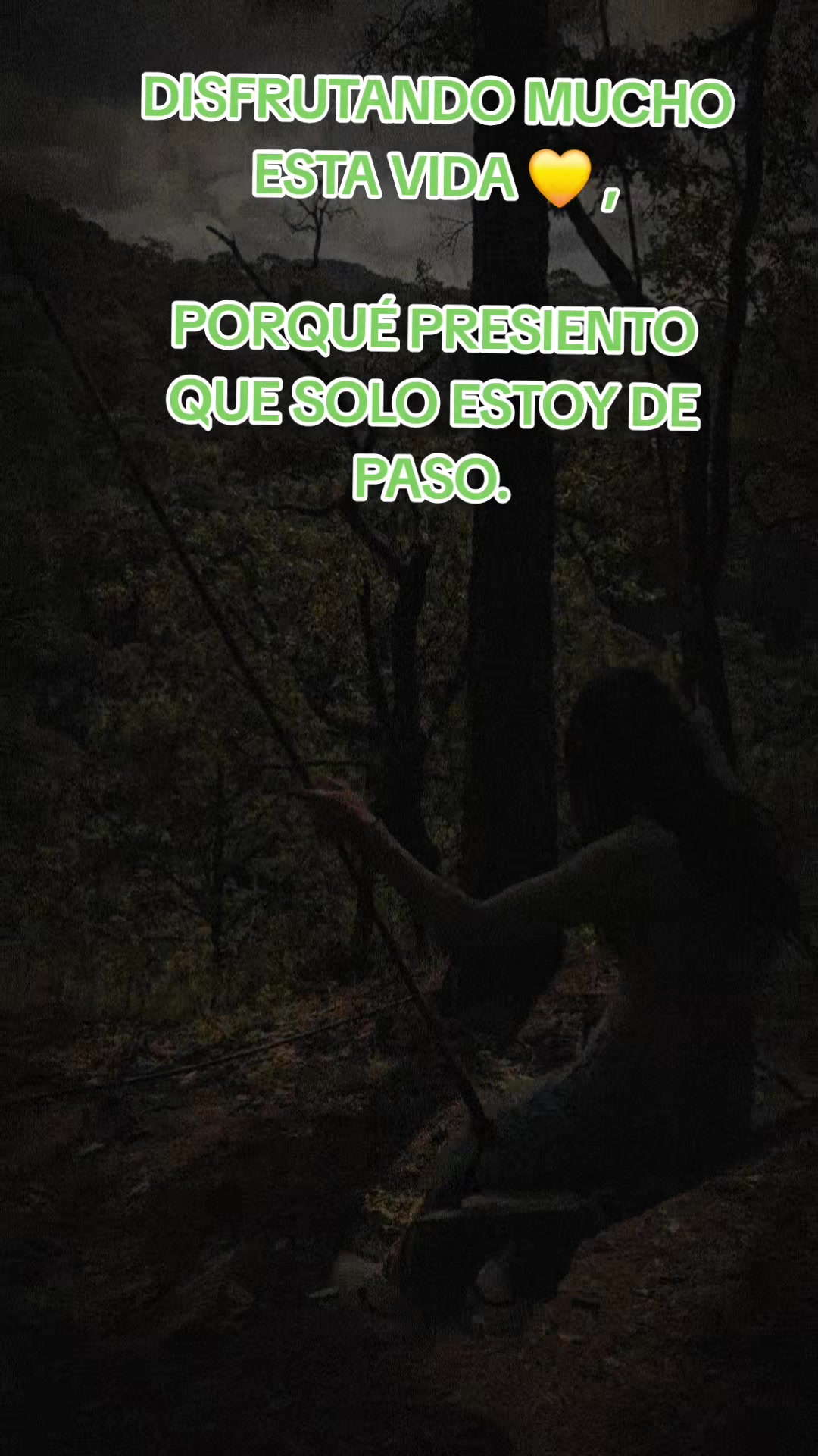 @Sayra Avalos