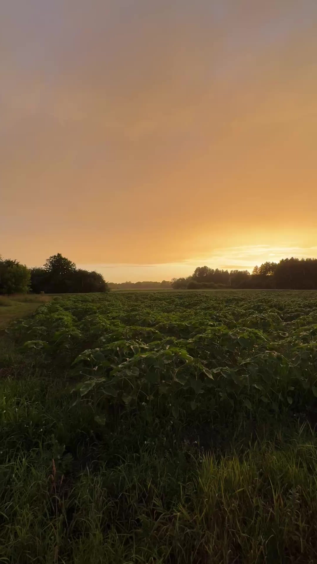 @Sasha🇺🇦John Deere🇺🇦🚜🌾🌽