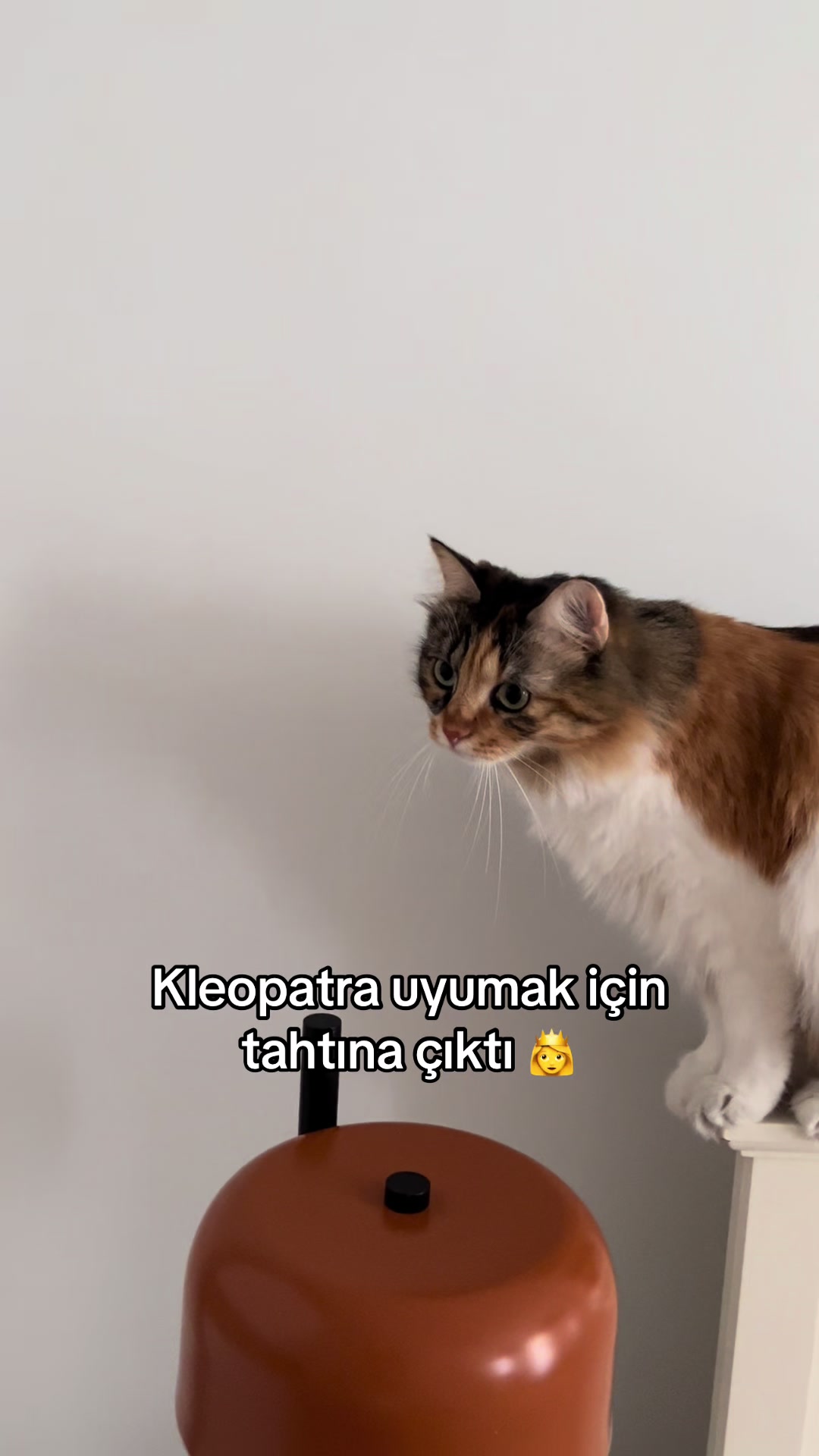 @konusankediminnos