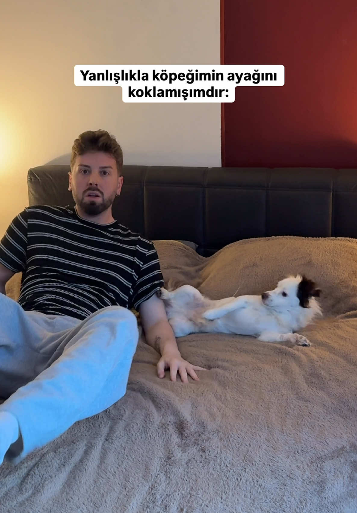 @Berke Abraş