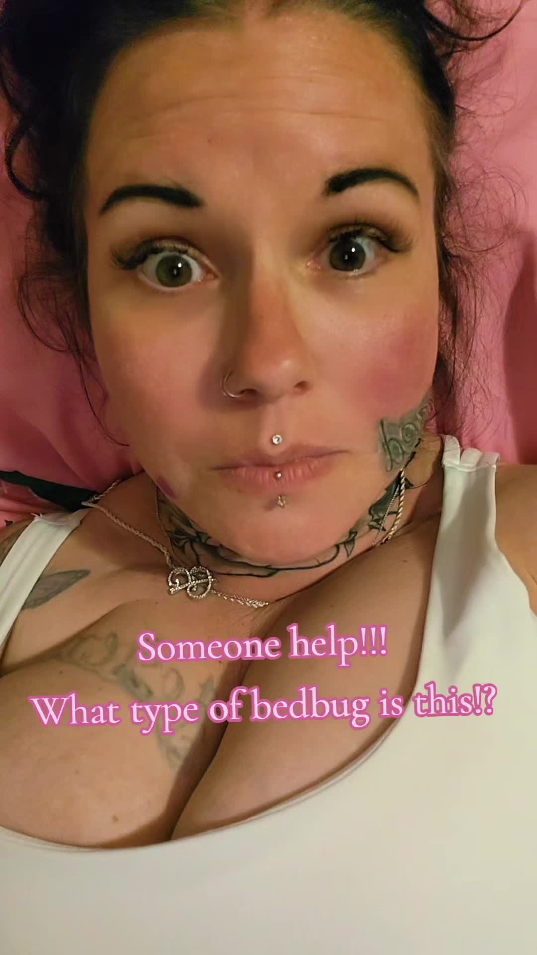 @👑B