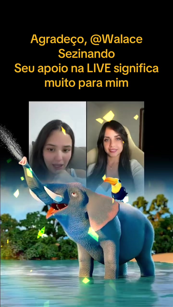@Camille Fernandes