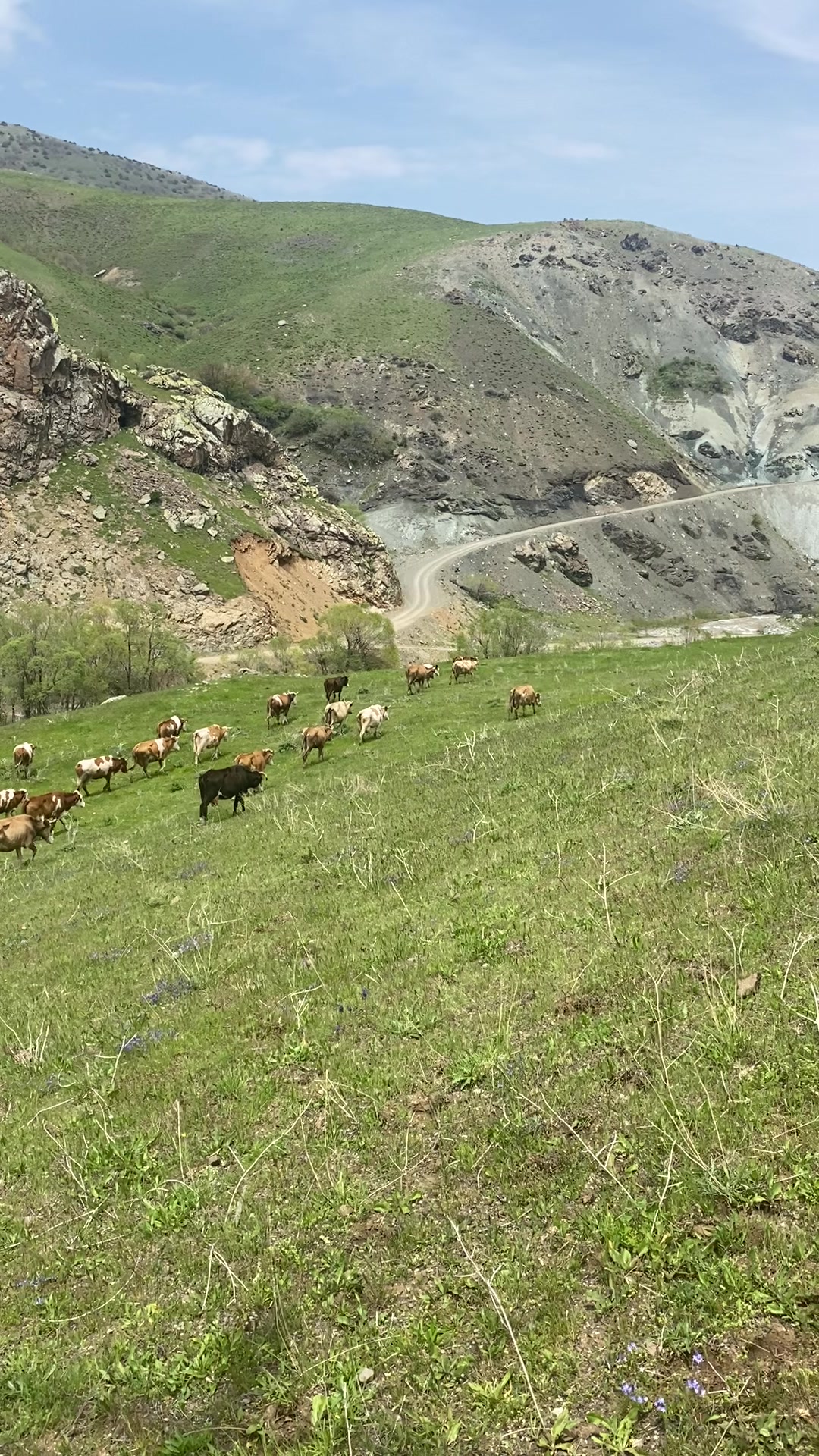 @Cananşkrli24