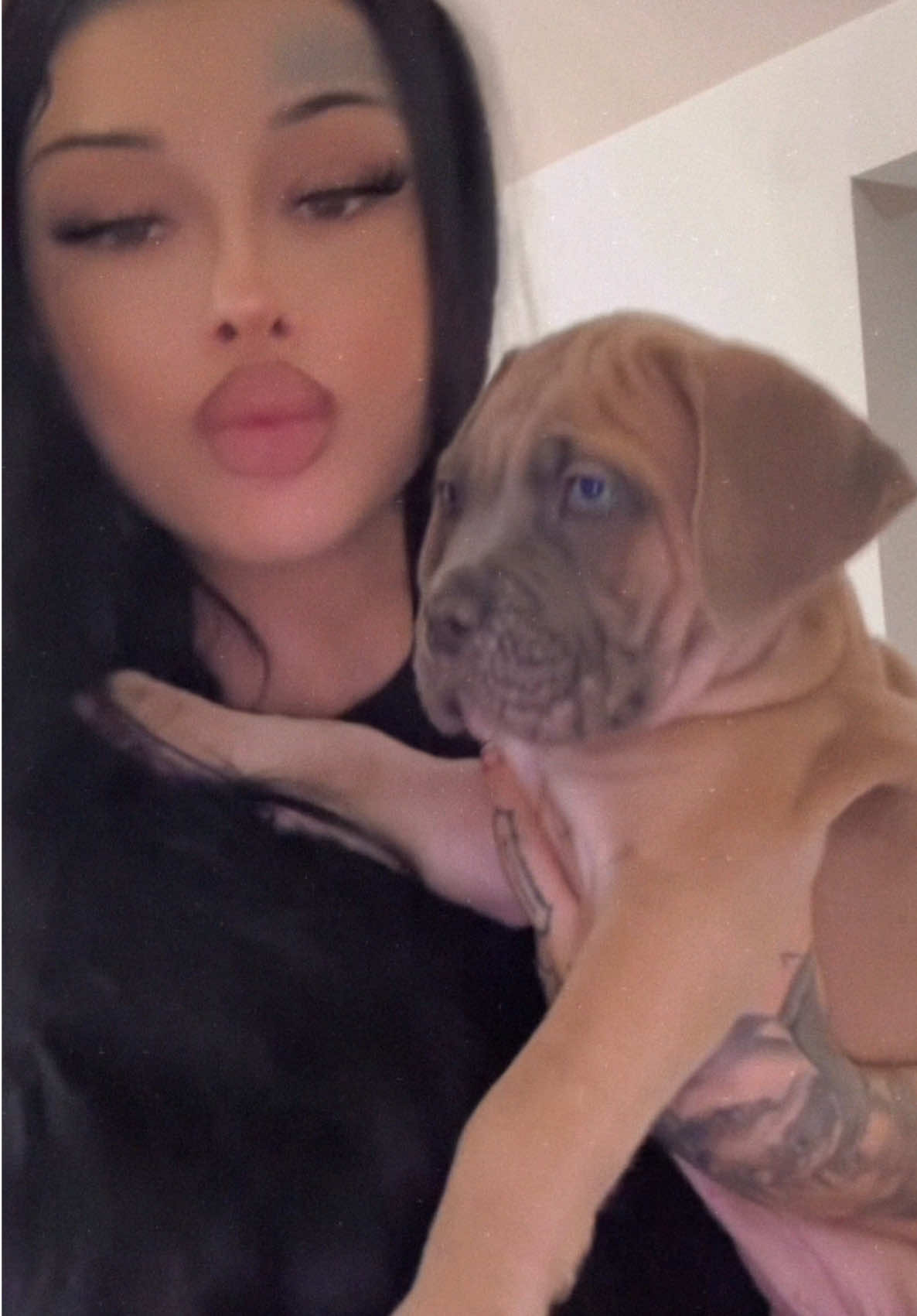 @XO